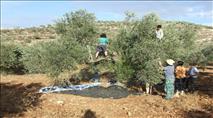 חסר תקדים: 32 אנרכיסטים שהגיעו לשומרון גורשו מהארץ