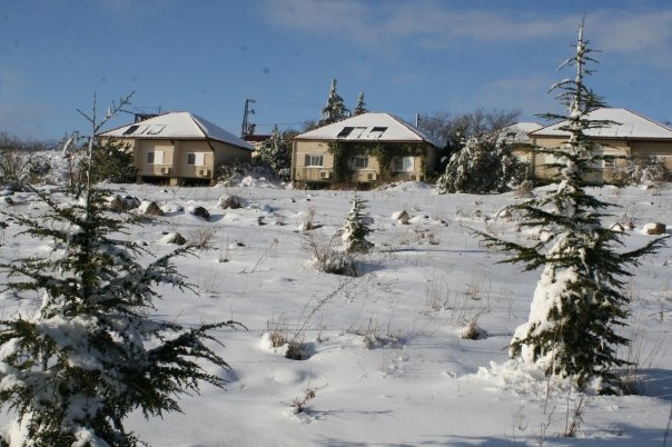 "ללא אחיזה בשטח סוריה צה"ל יאבד שליטה"