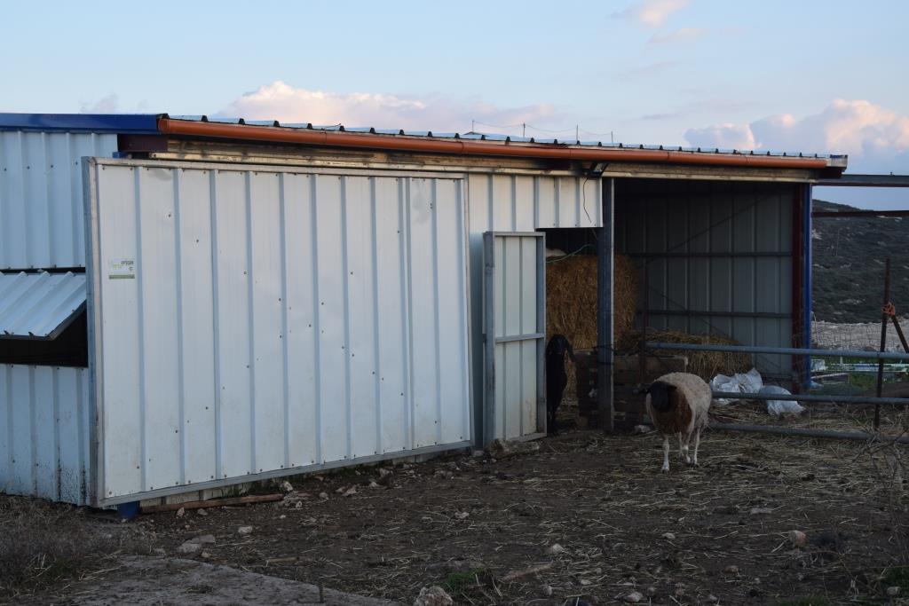 החוות שמחוץ לגדר