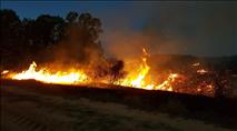 וידאו ותמונות: שריפת ענק בשמורת תל גומא 