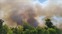 צילומי לווין חדשים מגלים את היקף השריפות בדרום