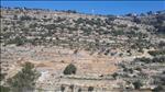 הקונספציה בשיאה: ערבים עובדים סמוך לישוב היהודי