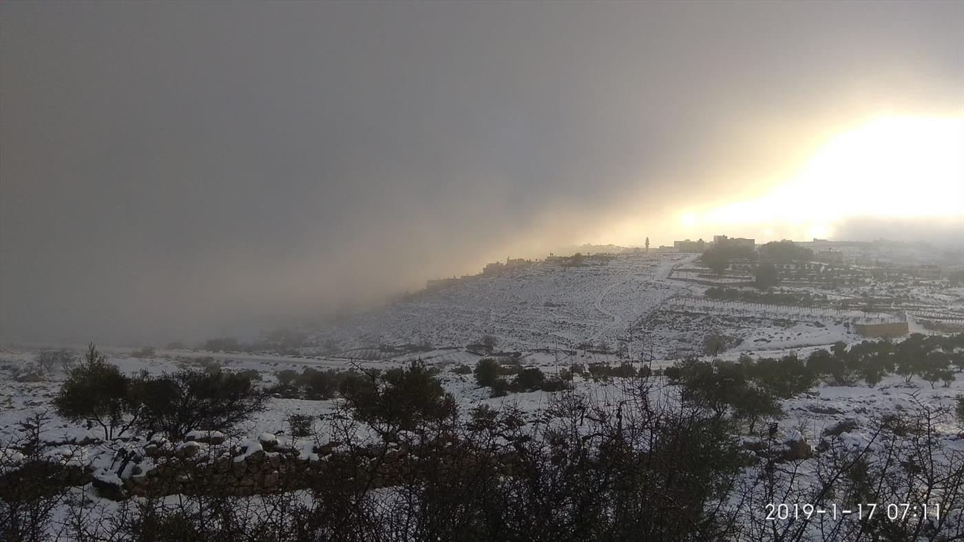 שלגים הבוקר באפרת (אורי צדוק)