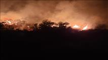 כ-150 שריפות מבלוני תבערה – מאות ערבים מתפרעים על הגדר