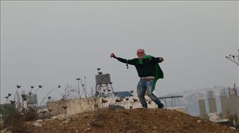 רועי צאן התקרבו לכביש – ויידו אבנים