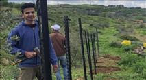 בכפר ערבי בשומרון מקימים גדר מפחד היהודים