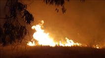 חשד להצתות מכוונות: שריפות השתוללו באלעד ובעמק שילה
