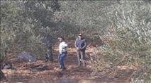 ”Olive Harvest” Exposed: Arabs participating throw stones, gather intelligence, and photograph security forces movements