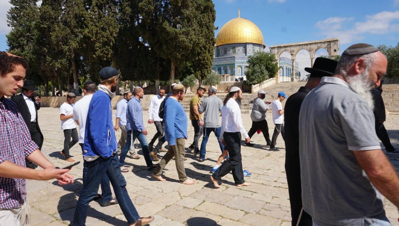 מחצית מהציבור בעד תפילת יהודים בהר הבית (צילום: מטה ארגוני המקדש)