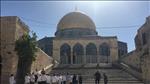הייאוש הערבי בהר הבית: "אולי יוכרז שהמקום הזה הוא בית מקדש"