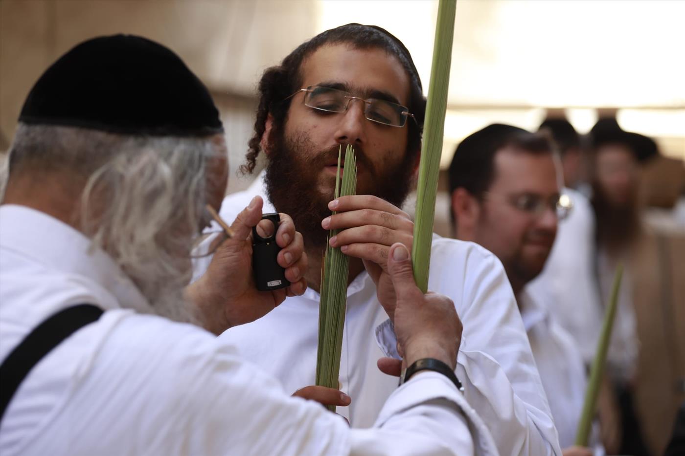 ארץ זבת אתרוגים ולולבים