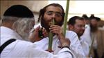 ארץ זבת אתרוגים ולולבים