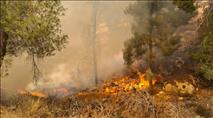 שוב שריפה ביער גבעות - הצתות במספר מוקדים