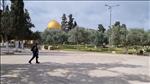 המשטרה עצרה שלושה אנשי וואקף. "אין מקומם בהר"