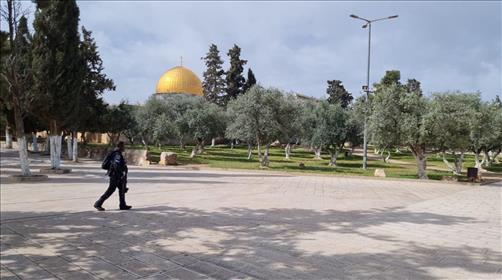הרחק ומשול: מספר חסר תקדים של יהודים שהורחקו מהר הבית 