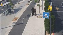 שני נערים מאום אל פאחם ניסו לבצע פיגוע בתל אביב