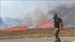 ישראל בוערת: יישובים פונו, כביש 1 נחסם — ובמקביל, הסתה ערבית להמשך ההצתות