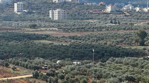 תושבי אל מתן: נשארנו בלי אבטחה, וצה"ל מאשר מסיק סמוך לבתים