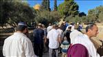 יום ירושלים בהר הבית -  הנפות דגלים השתחוויות ומספרי שיא של עולים