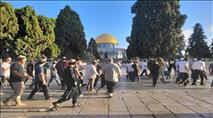 אלפים עולים להר בשירה והשתחוויה