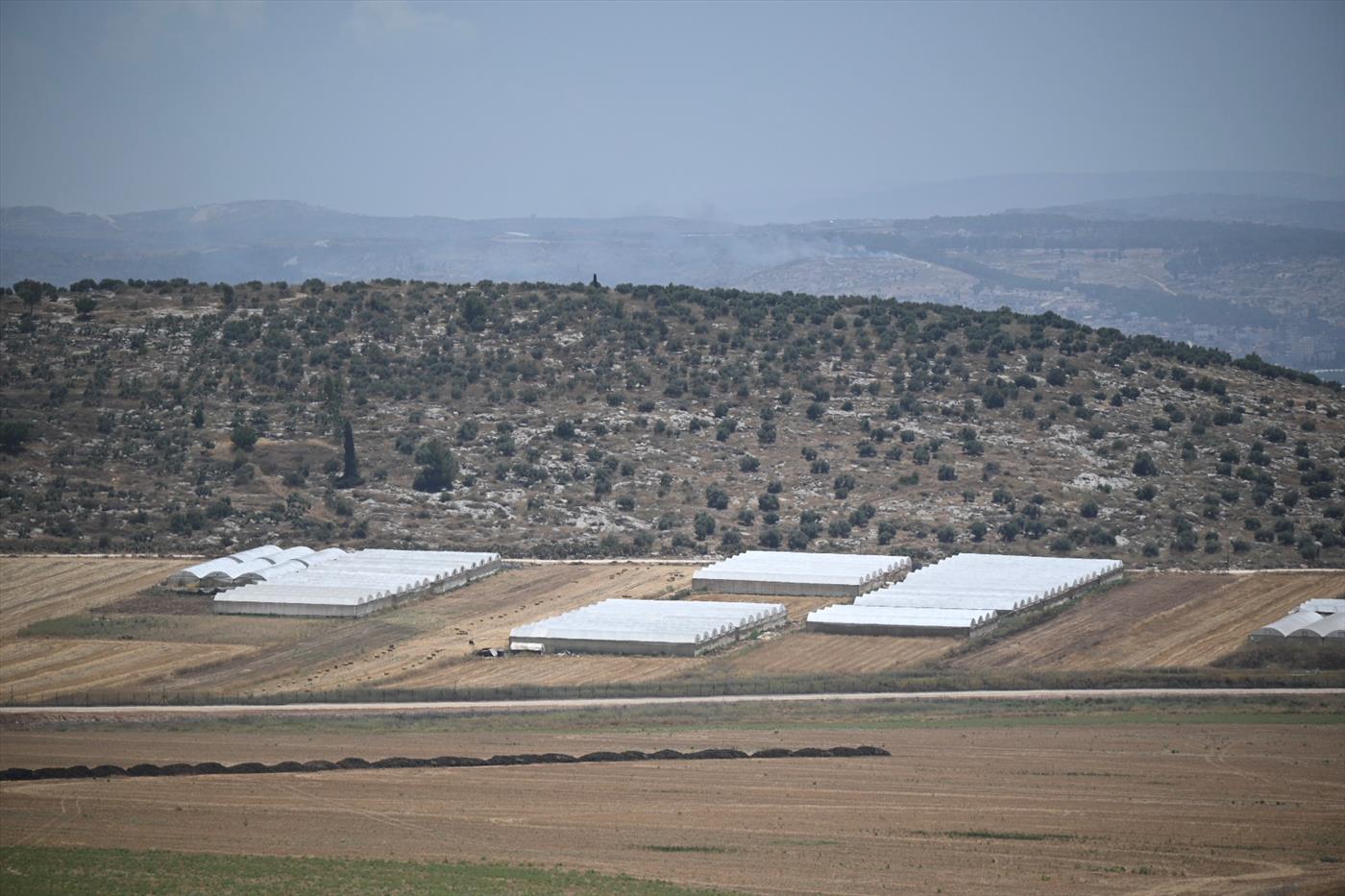 הטרור גדל על העצים: חממת טרור נוספת הוקמה על קו התפר