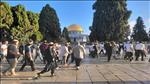 אלפים עולים להר בשירה והשתחוויה