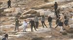 הערבים התפרעו בבנימין, יהודי נעצר בשב"כ