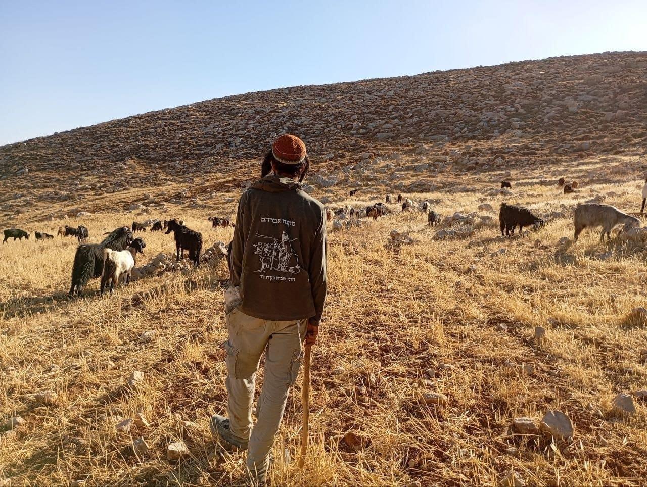 לאחר התדרוכים נגד החוות: צה"ל במהלך חסר תקדים