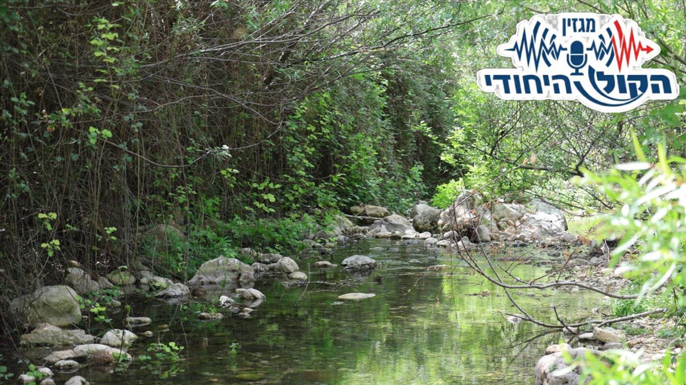 מוזיקה יהודית: פלייליסט לשבת בא