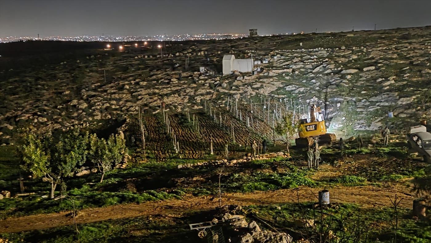 תחת ממשלת הימין: צה"ל והמנהל האזרחי עקרו כרם של יהודים בסוסיא בשל הפחד מבג"ץ