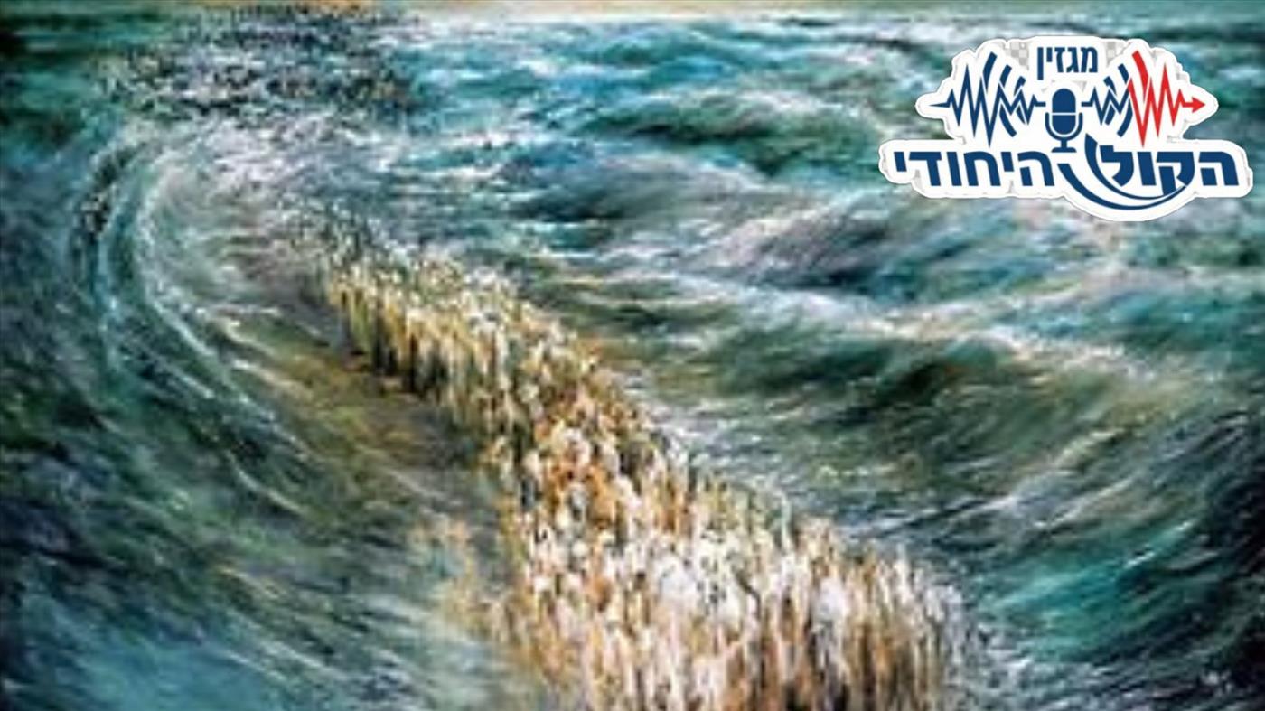 בשלח – בדרך בין עבדות לעצמאות