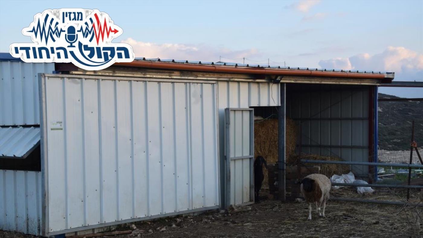 החוות שמחוץ לגדר