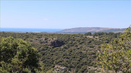 נוף ארץ ישראל