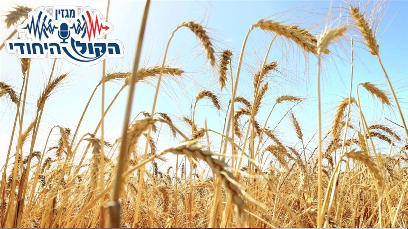 האם אתם יודעים להקטיר לבונה? כל מה שרציתם לדעת על מנחות המקדש