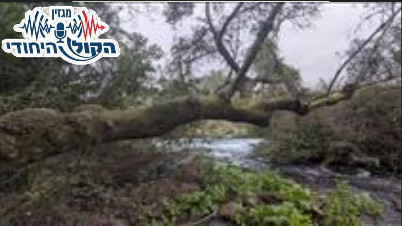 מוזיקה יהודית: פלייליסט לשבת יתרו