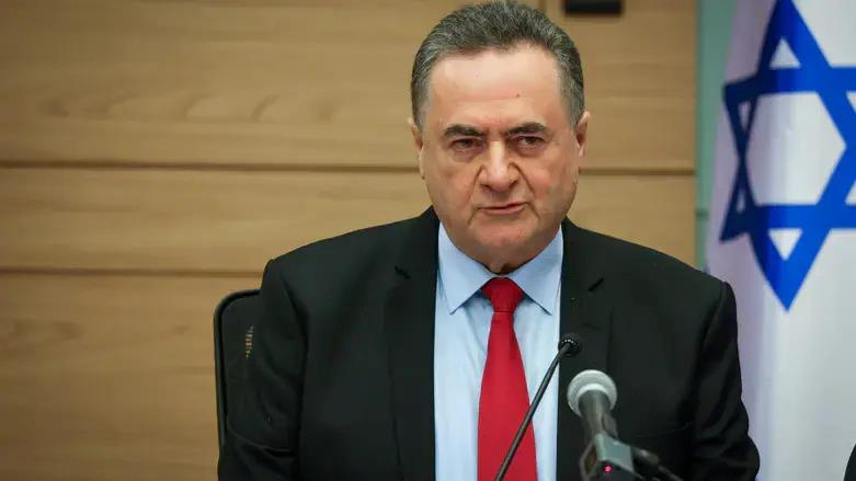 ח"כים, שרים וחברי ליכוד לשר כ"ץ "פעל לשחרורו המידי של טל ינון דרדיק" 