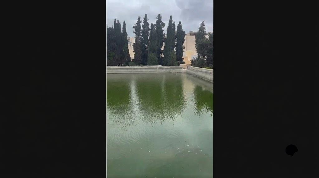 בעקבות חשיפת הקול היהודי: בוטלה הנחת אבן הפינה למסגד בבריכות שלמה