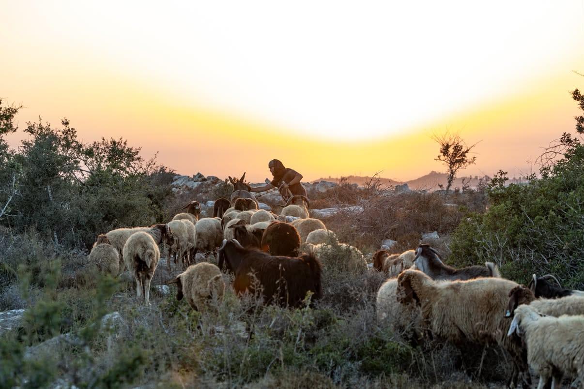 התשובה לתוכנית ערפאת: הכירו את הגוש החדש שמשנה את המציאות בשומרון