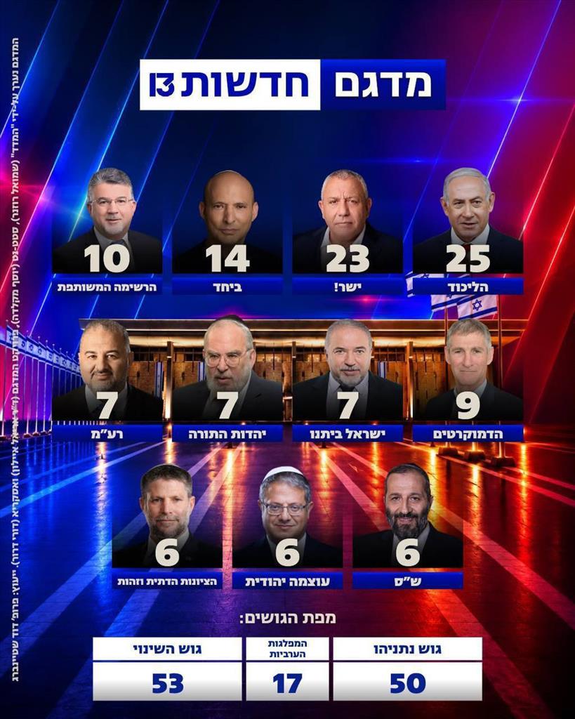מדגם 13