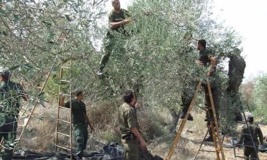 שוטרים פלסטינים מוסקים. (הופץ ברשת. שימוש על פי סעיף 27-א)