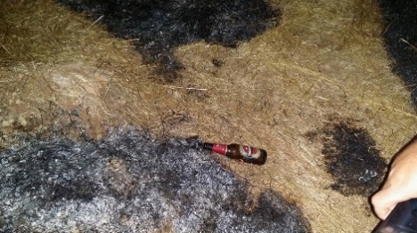 דיווח: יהודים השליכו בקבוקי תבערה בג'ילזון
