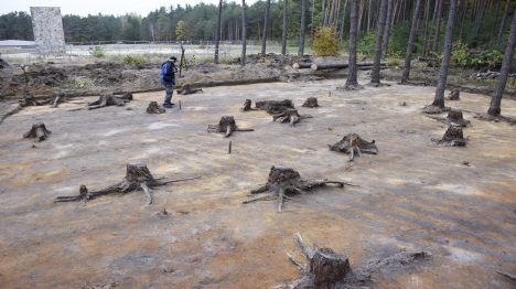 תגליות ארכיאולוגיות במחנה ההשמדה סוביבור