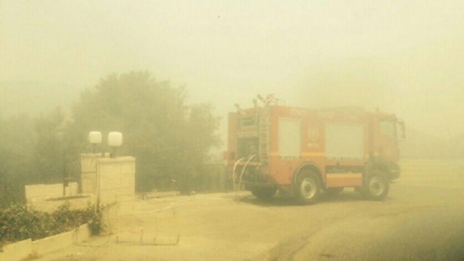 השריפה באבן ספיר: האובדן והאמונה • וידאו