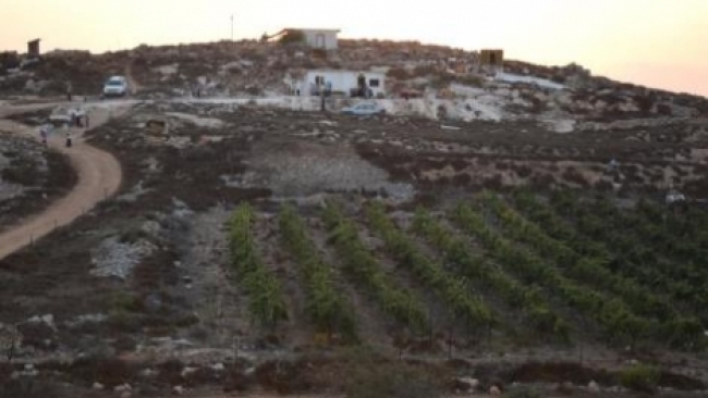 צפו: קביעת מזוזה ב'קומי אורי'