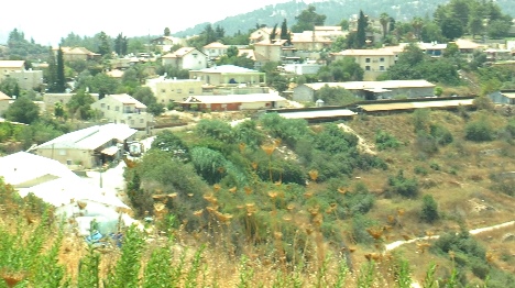 ישוב פסטורלי שסובל מפשיעה ערבית. אבן ספיר (יהודה פרל)